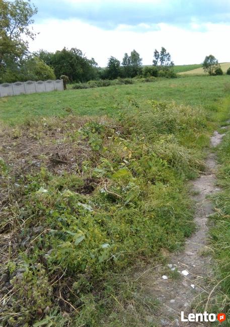 Działka rolno - budowlana