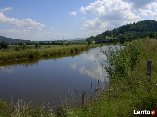 Działka budowlana w Srebrnej Górze