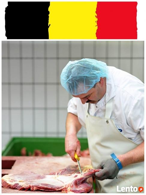 RZEŹNIK - wykrawacz Belgia, pod zakład