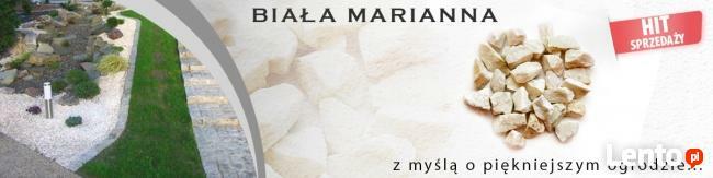 Kamienie Ogrodowe Grysy Otoczaki Kora Kamienna Żwiry