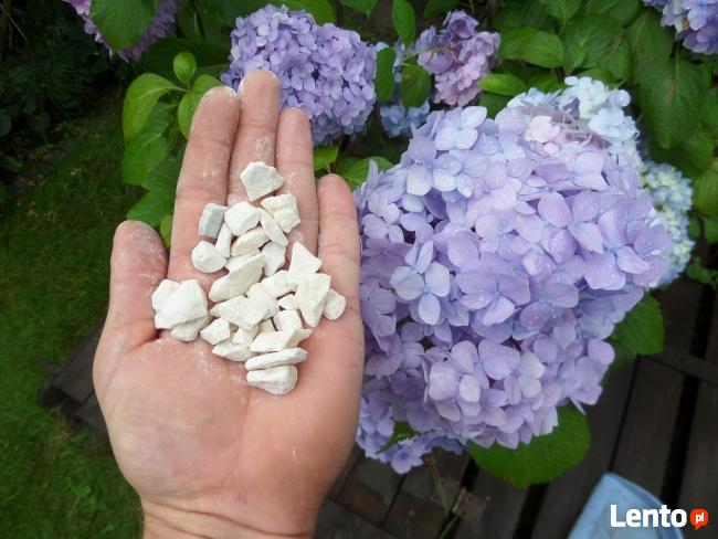 Grys Biała Marianna 10-16mm Kamień do Ogrodu