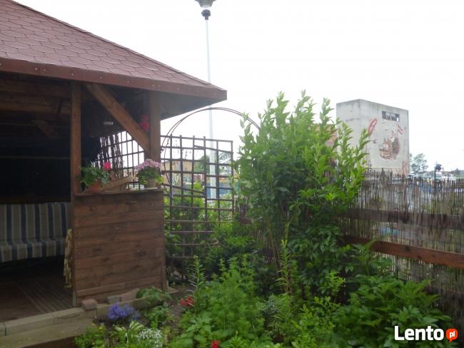 domek letniskowy nad morzem - wynajem