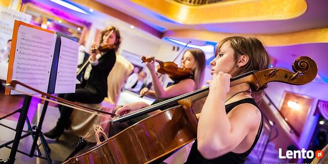 Trio smyczkowe - oprawa uroczystości