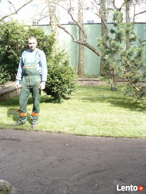 Formowanie żywopłotów usługi ogrodnicze Łódź Pabianice Górka