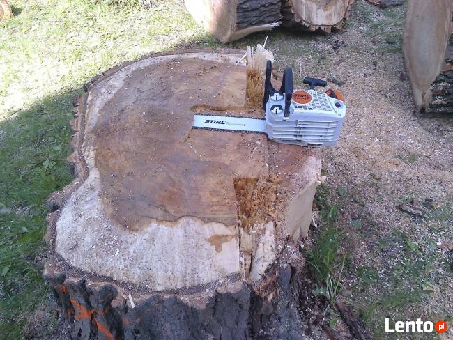 Alpinistyczna Wycinka Drzew -Usługi Ogrodnicze