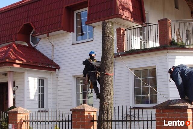 Ścinka drzew i modelowanie zieleni.