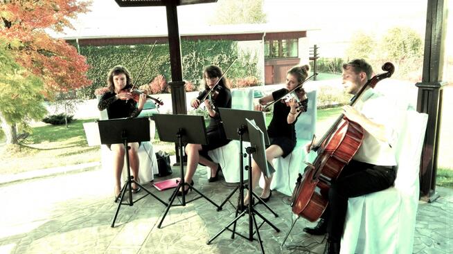 Trio smyczkowe zagra na ślubie