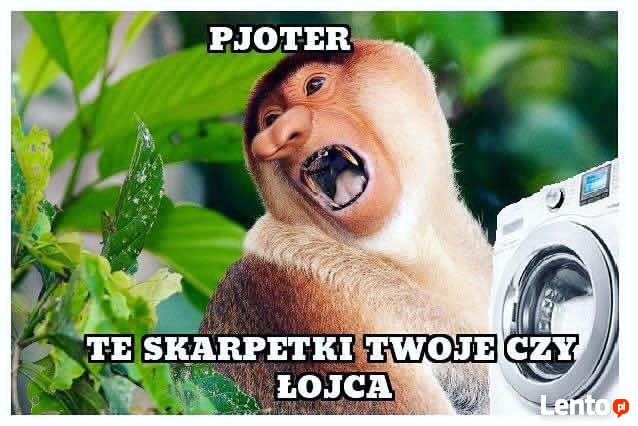 Naprawa pralek ,zmywarek TEL-509969447-serwis AGD Żywiec