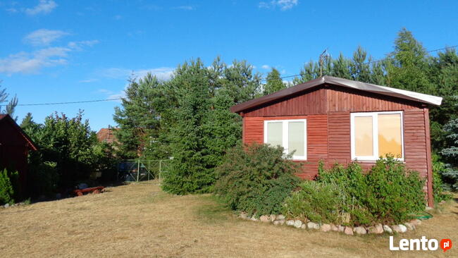 Wynajmę DOMEK LETNISKOWY