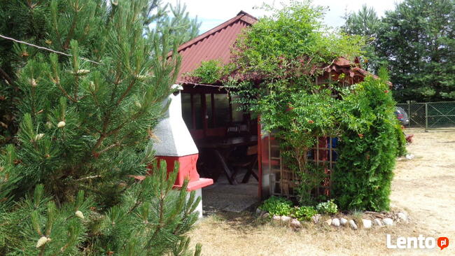 Wynajmę DOMEK LETNISKOWY