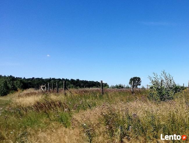 Działka budowlana w pobliżu Jeziora Cichowo