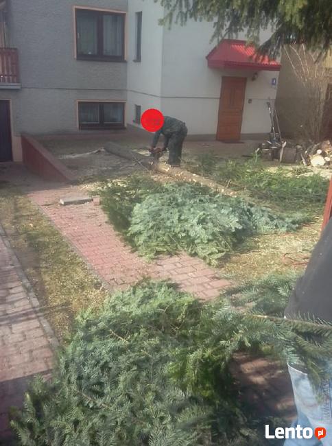 Wycinki drzew podcinanie gałęzi zrębkowanie lubelskie