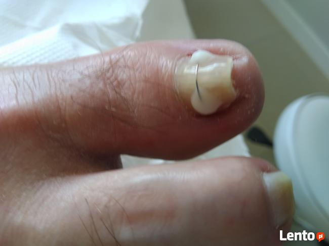 Podolog Płock Izabela Sobocińska