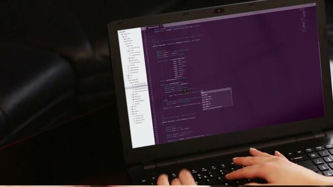 Profesjonalne strony www i sklepy internetowe