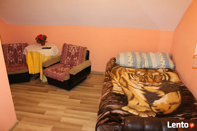 Noclegi Okuninka, Wynajem Pokoi, Pokoje Gościnne, Kwatery