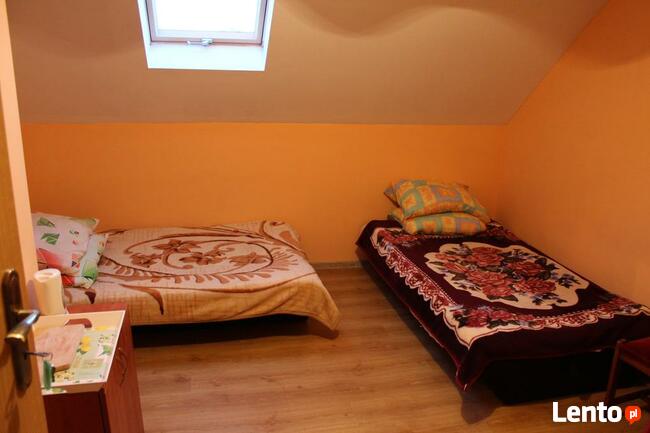 Noclegi Okuninka, Wynajem Pokoi, Pokoje Gościnne, Kwatery