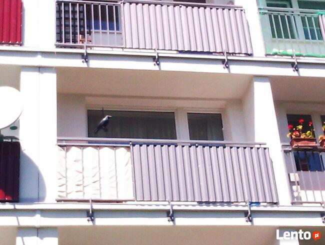 Montaż siatki na balkonie, oknie dla ptaków, kotków.