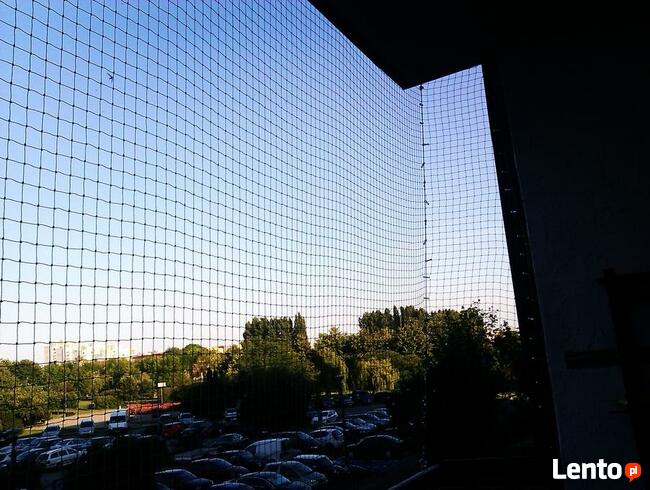 Montaż siatki na balkonie, oknie dla ptaków, kotków.