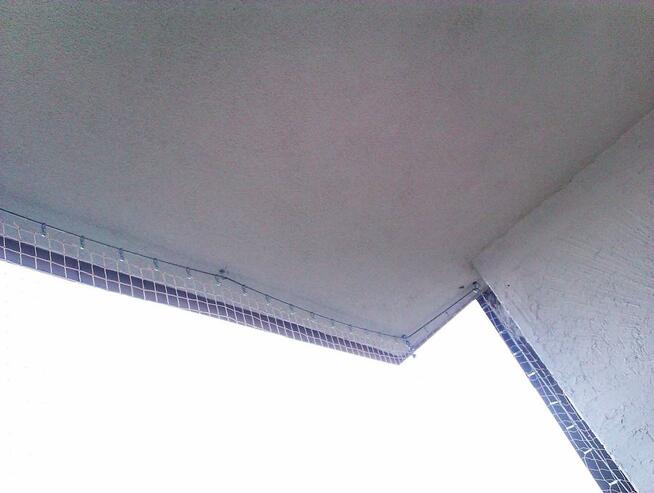 Montaż siatki na balkonie, oknie dla ptaków, kotków.