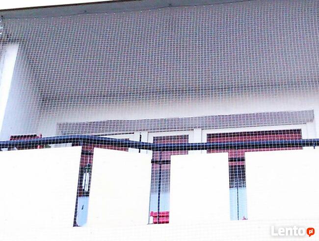 Montaż siatki na balkonie, oknie dla ptaków, kotków.