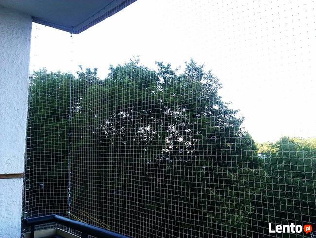 Montaż siatki na balkonie, oknie dla ptaków, kotków.