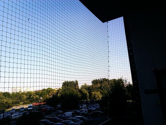 Montaż siatki:balkon, okno przed ptakami, wypadnięciu kotka.