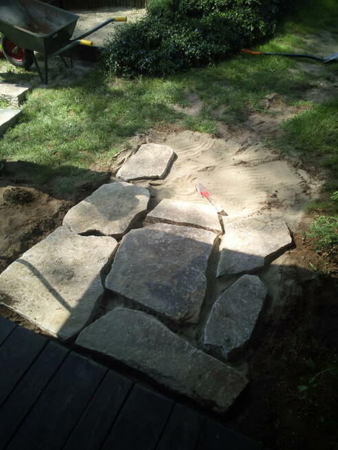 Wycinka drzew,kompleksowy zakres prac w ogrodnictwie.