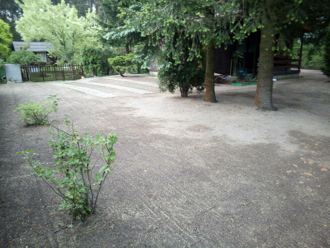 Wycinka drzew,kompleksowy zakres prac w ogrodnictwie.