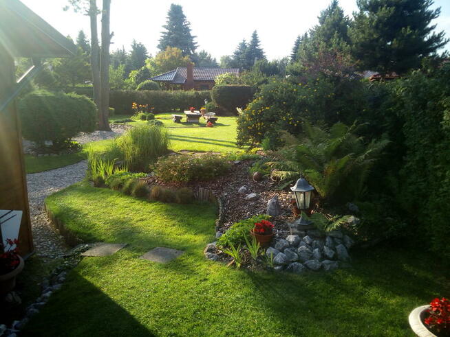 Wycinka drzew,kompleksowy zakres prac w ogrodnictwie.