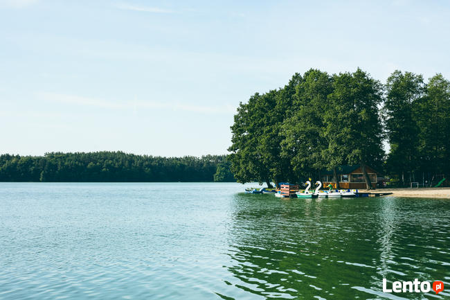 Dom Letniskowy ORLIKLIDIA w Żurominie do wynajęcia