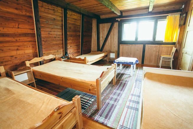 Dom Letniskowy ORLIKLIDIA w Żurominie do wynajęcia