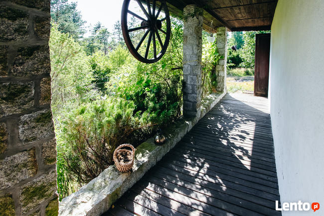 Dom Letniskowy ORLIKLIDIA w Żurominie do wynajęcia