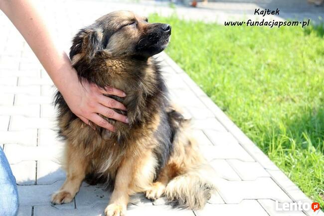Kajtek - puchaty przyjaciel