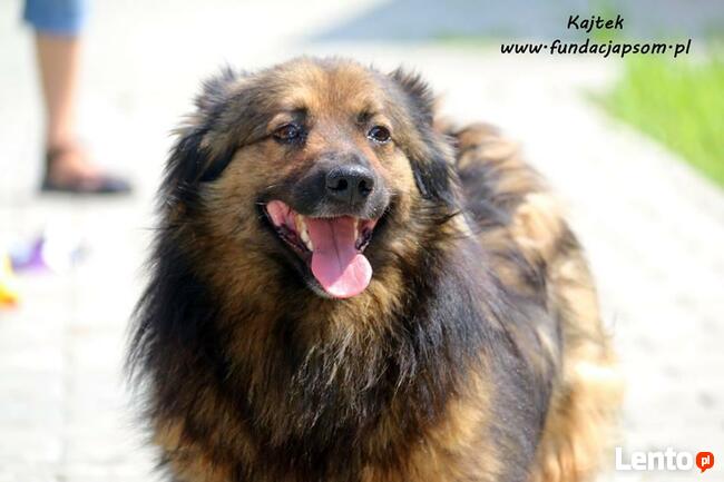 Kajtek - puchaty przyjaciel