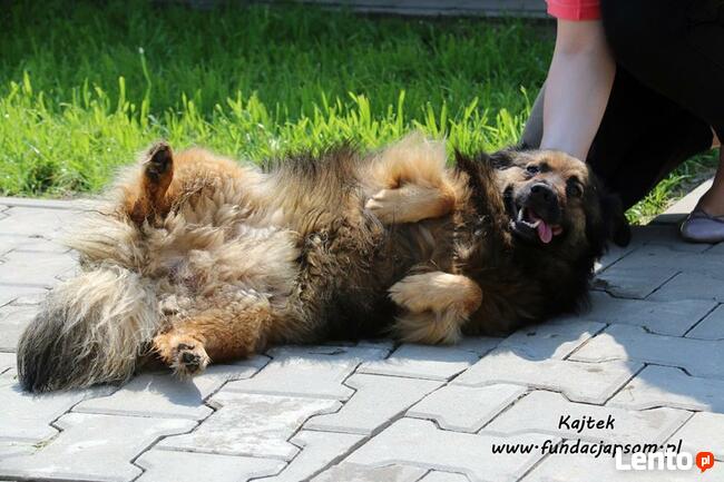 Kajtek - puchaty przyjaciel