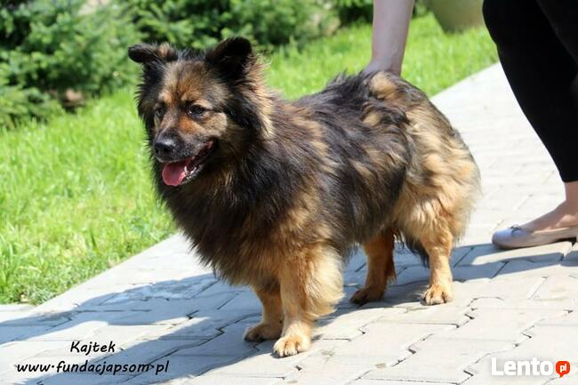 Kajtek - puchaty przyjaciel