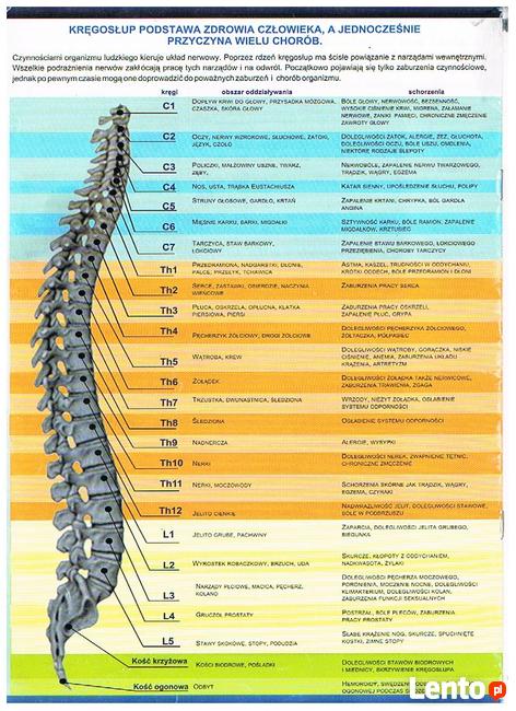 Ból kręgosłupa? wypróbuj łóżko Ceragem!