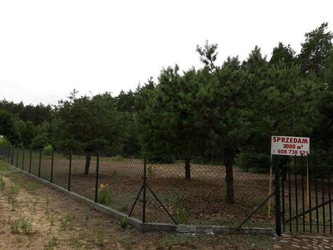 Sprzedam działkę k. Gostynina 09-500