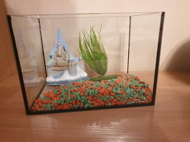 sprzedam akwarium 5l