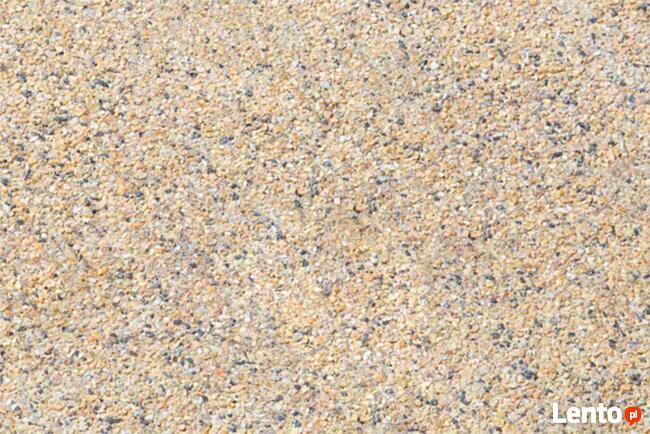 Bruk prosty kostka brukowa ogród ogrodzenia palisady