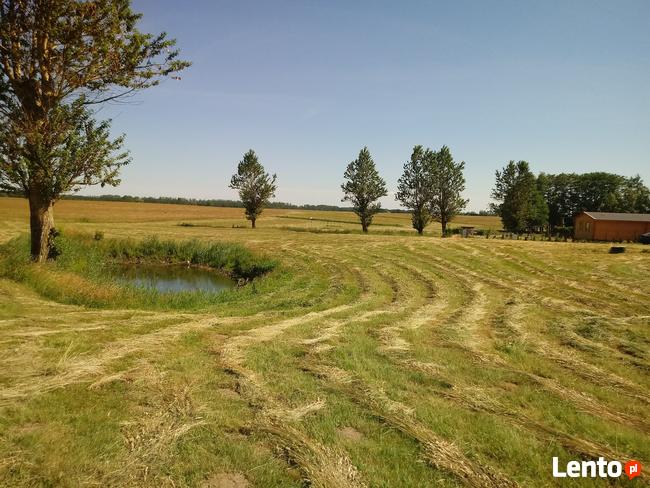 Działka nad morzem ;) !!! Inwestycja Prozdrowotna :)!!! :):)
