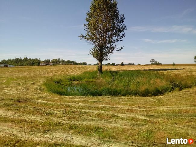 Cisza, spokój, harmonia, odpoczynek, relaks :):) !!!