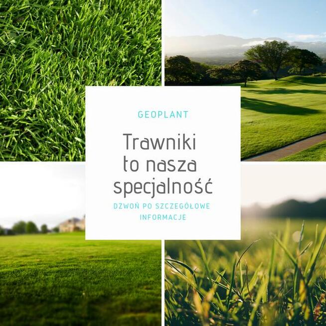 Usługi glebogryzarką separacyjną: trawniki, rabaty Nowy Sącz