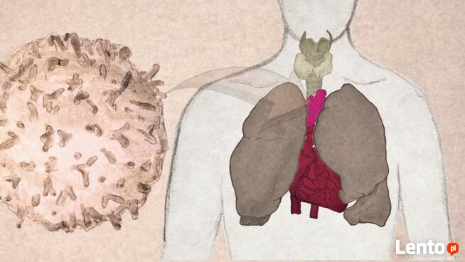 Odbudowa układu odpornościowego