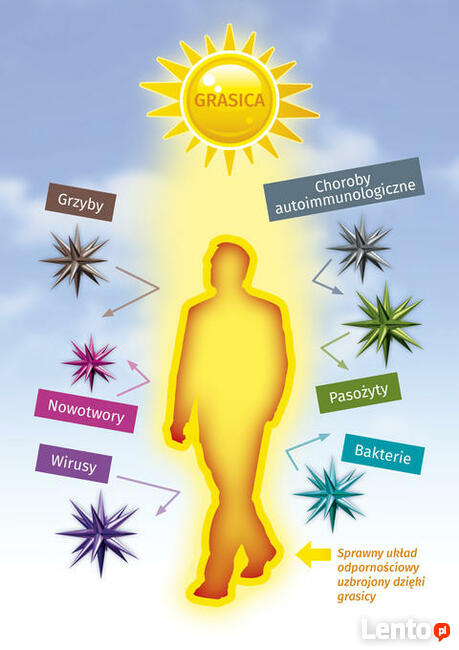 Odbudowa układu odpornościowego