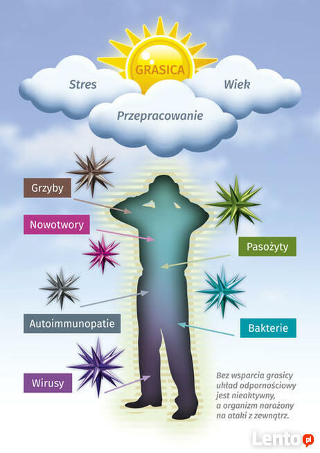 Odbudowa układu odpornościowego