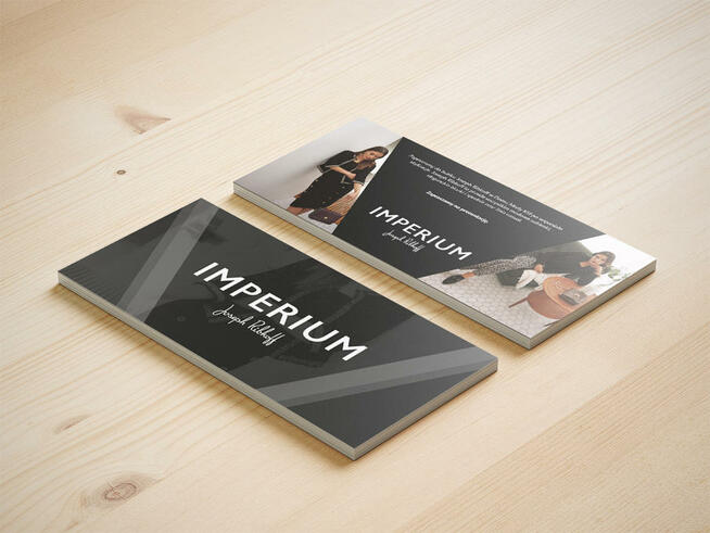 DSN STUDIO GRAFICZNE logo, www, ulotki, foldery TANIO i SZYB