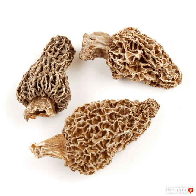 Smardz jadalny, (Morchella esculenta) SUSZONY 100 g