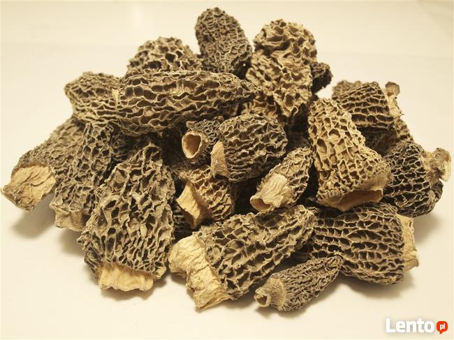 Smardz jadalny, (Morchella esculenta) SUSZONY 20 g