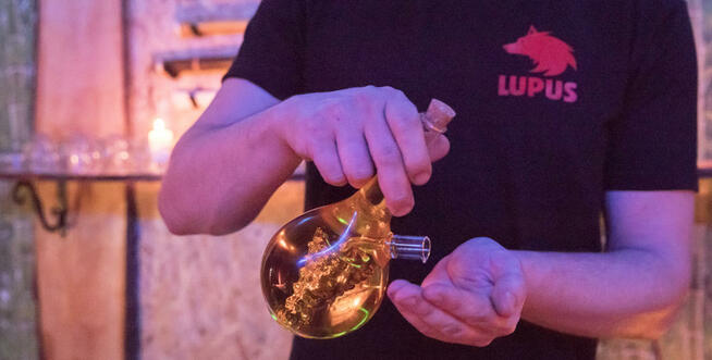 Lupus Gabinet Masażu